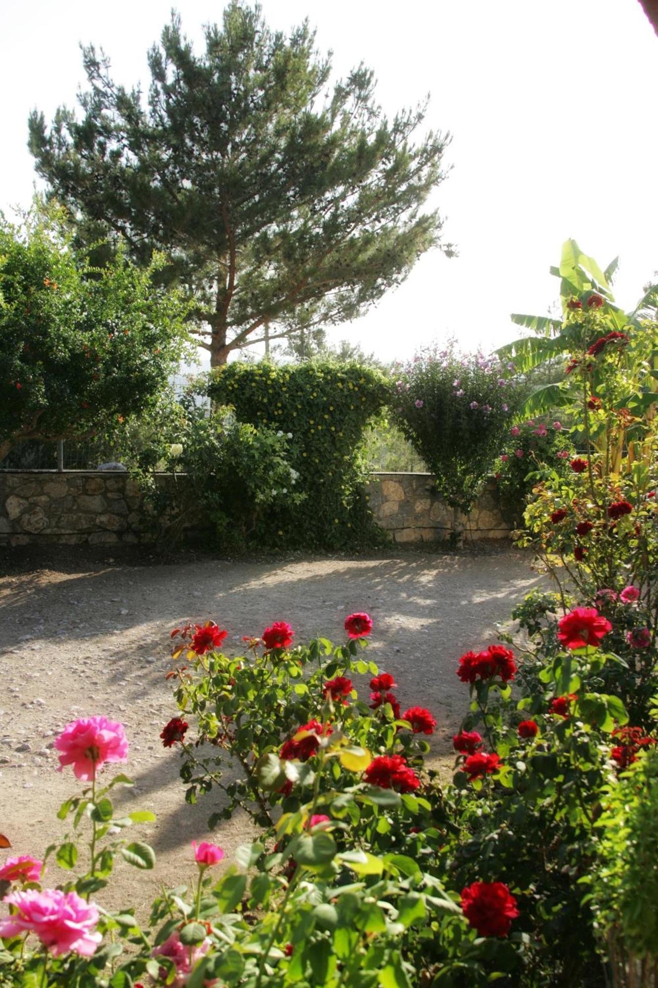 Villa Dora'S House Istrios Esterno foto